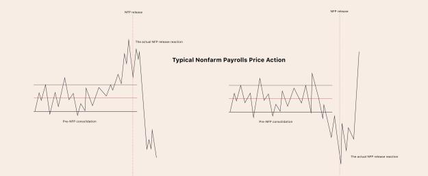 Click to Enlarge

Name: nfp reaction.jpg
Size: 111 KB
