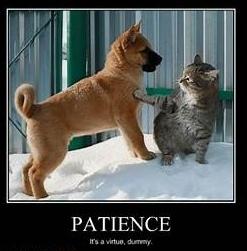 Click to Enlarge

Name: patience2.jpg
Size: 49 KB