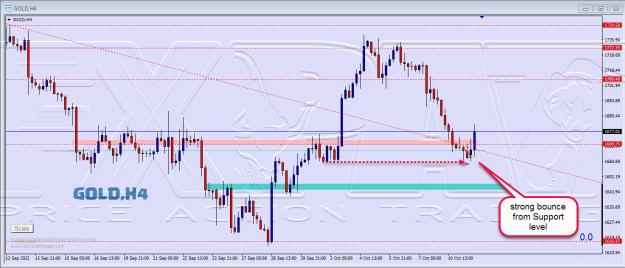 Click to Enlarge

Name: gold 015.jpg
Size: 172 KB