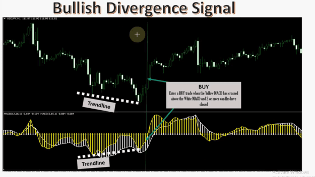 Click to Enlarge

Name: Bullish divergence signal 6.png
Size: 143 KB