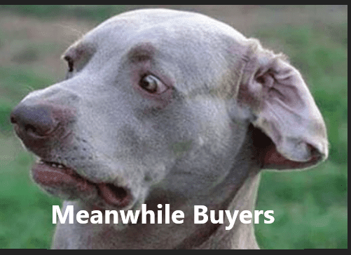 Click to Enlarge

Name: Meanwhile buyers.png
Size: 95 KB