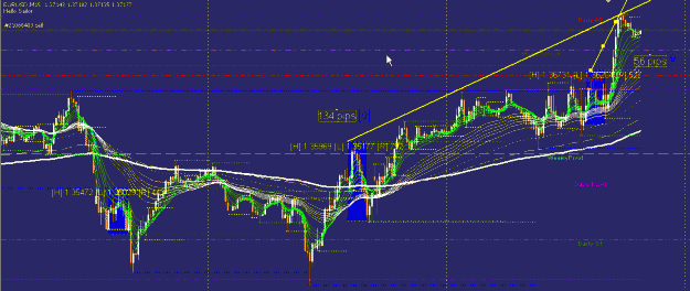 Click to Enlarge

Name: Eur-usd.gif
Size: 27 KB