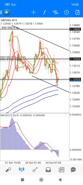 Click to Enlarge

Name: Screenshot_2022-10-24-14-35-22-932_net.metaquotes.metatrader4.jpg
Size: 681 KB