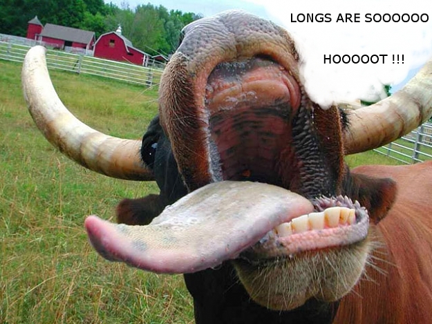 Click to Enlarge

Name: hot cow.jpg
Size: 176 KB