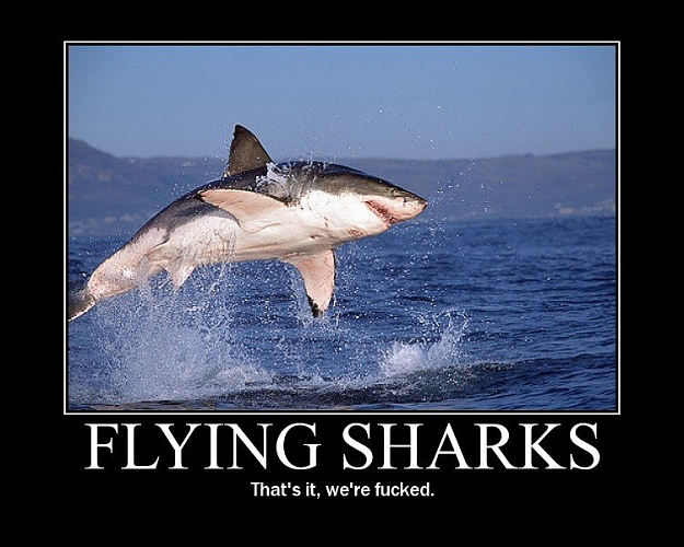 Click to Enlarge

Name: 29.jpg
Size: 89 KB