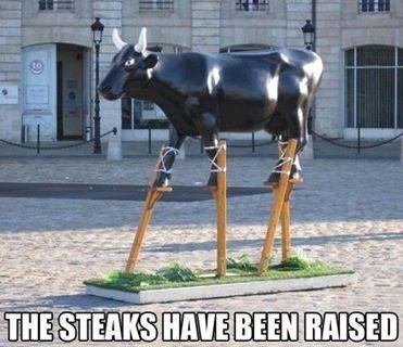 Click to Enlarge

Name: bull.jpg
Size: 34 KB