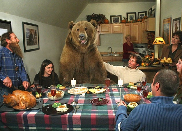 Click to Enlarge

Name: grizzly-2.jpg
Size: 96 KB