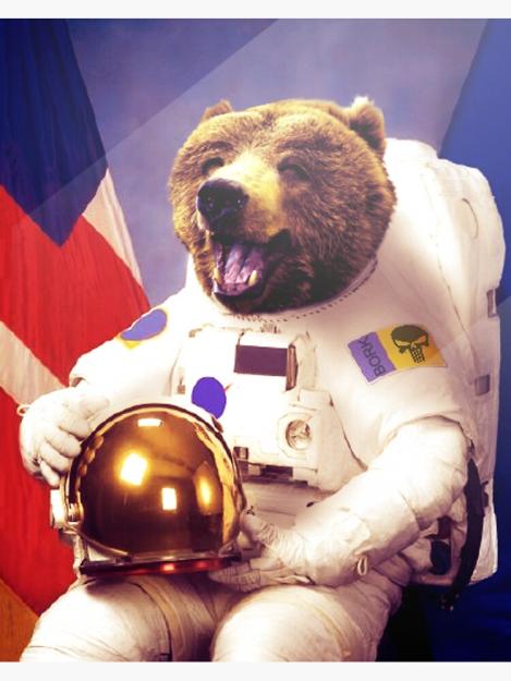 Click to Enlarge

Name: bearAstro.jpg
Size: 127 KB