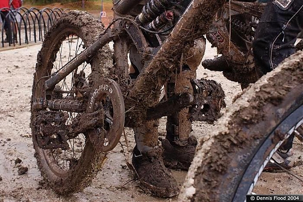 Click to Enlarge

Name: l-dirty_muddy_bike.jpg
Size: 90 KB