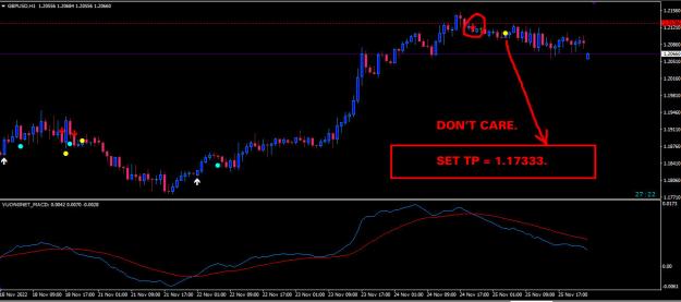 Click to Enlarge

Name: TP GU.jpg
Size: 127 KB