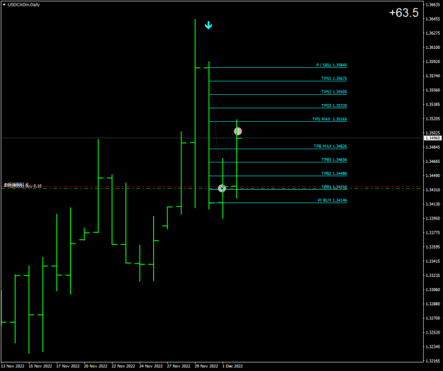 Click to Enlarge

Name: USDCADmDaily.png
Size: 13 KB