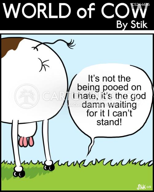 Click to Enlarge

Name: cow suspense.jpg
Size: 100 KB