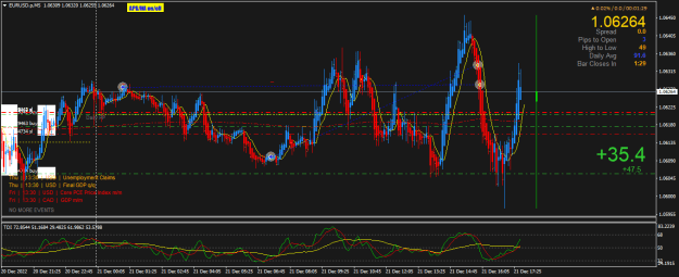 Click to Enlarge

Name: EURUSD.pM5.png
Size: 27 KB