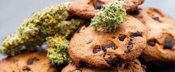 Click to Enlarge

Name: weed cookies 2.jpg
Size: 11 KB