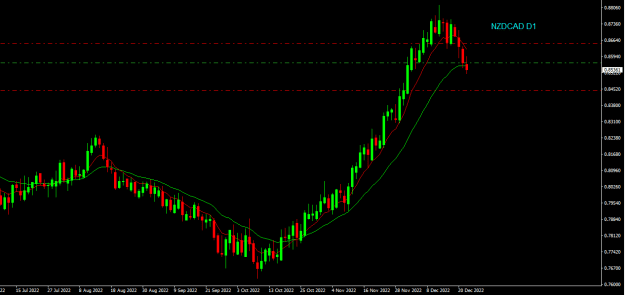 Click to Enlarge

Name: nzdcad d1.png
Size: 13 KB