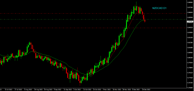 Click to Enlarge

Name: nzdcad d1.png
Size: 13 KB