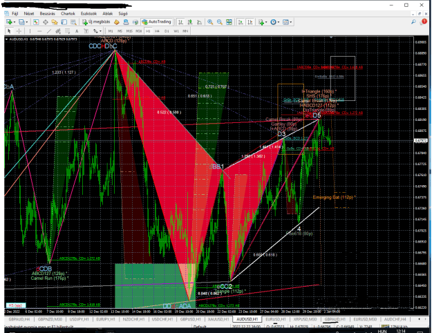 Click to Enlarge

Name: AUDUSD-H1.png
Size: 76 KB