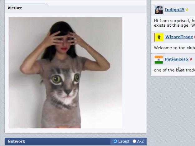 Click to Enlarge

Name: cat t shirt.jpg
Size: 57 KB