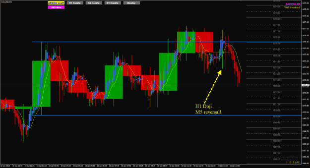 Click to Enlarge

Name: XAUUSD Jan10 M5 we H1 Doji 10-1-2023 8-29-20 pm.png
Size: 30 KB