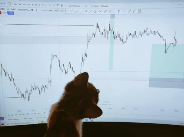 Click to Enlarge

Name: cat trades.jpg
Size: 36 KB