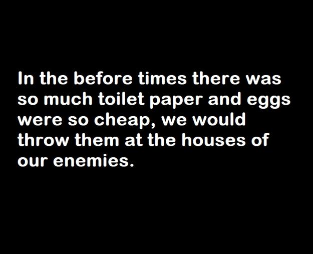 Click to Enlarge

Name: Before-Times-Eggs-and-Toilet-Paper.jpg
Size: 90 KB