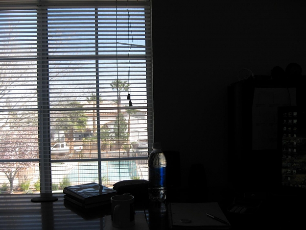 Click to Enlarge

Name: IMG_0102.jpg
Size: 174 KB