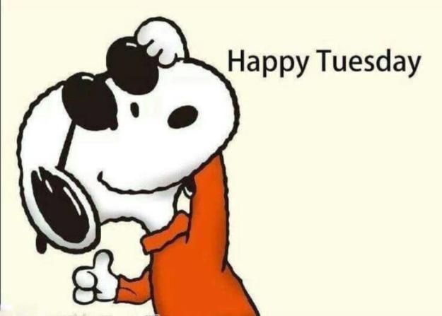 Click to Enlarge

Name: hapTuesday.jpg
Size: 31 KB