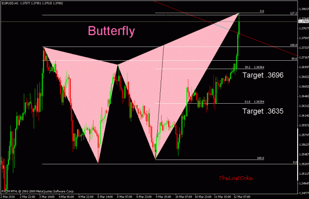 Click to Enlarge

Name: butterfly.gif
Size: 22 KB