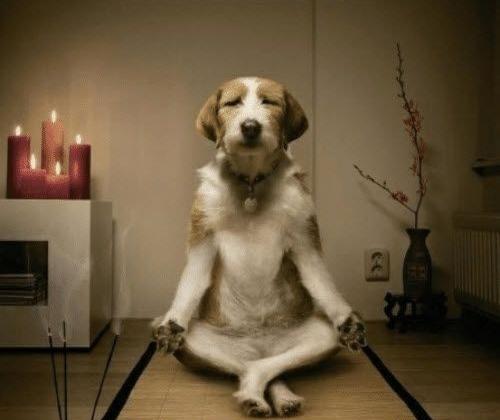 Click to Enlarge

Name: relax.jpg
Size: 94 KB