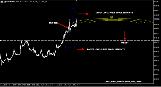 Click to Enlarge

Name: EURGBP FEB3.PNG
Size: 11 KB