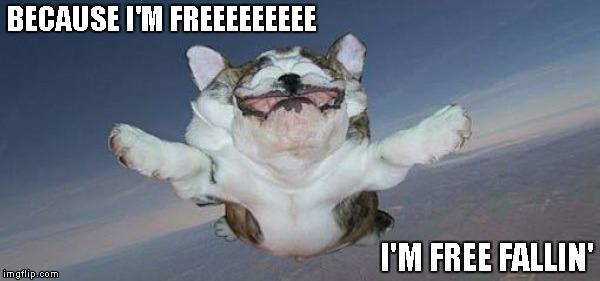 Click to Enlarge

Name: freefall.jpg
Size: 36 KB