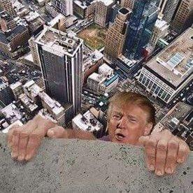 Click to Enlarge

Name: hang on there.jpg
Size: 30 KB