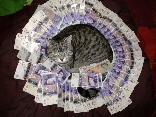 Click to Enlarge

Name: cat money.jpg
Size: 61 KB