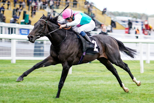 Click to Enlarge

Name: Breath Of Air Thoroughbred Horse Profile - Next Race, Form, Stats, News, Breeding.png
Size: 682 KB