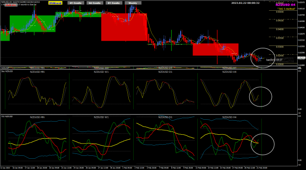Click to Enlarge

Name: NU Feb22 H4 useless TDI signal 22-2-2023 4-00-34 pm.png
Size: 47 KB