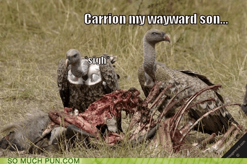 Click to Enlarge

Name: carrion-carry-on-carry-on-my-wayward-son-hall-of-fame-homophones-kansas-literalism-song-6386994688.p
Size: 128 KB