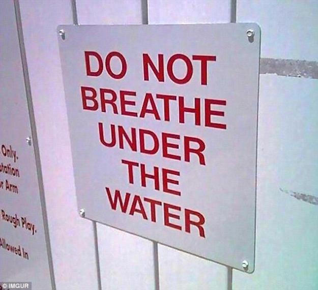 Click to Enlarge

Name: You don't say! Entirely pointless signs from around the world.jpg
Size: 52 KB