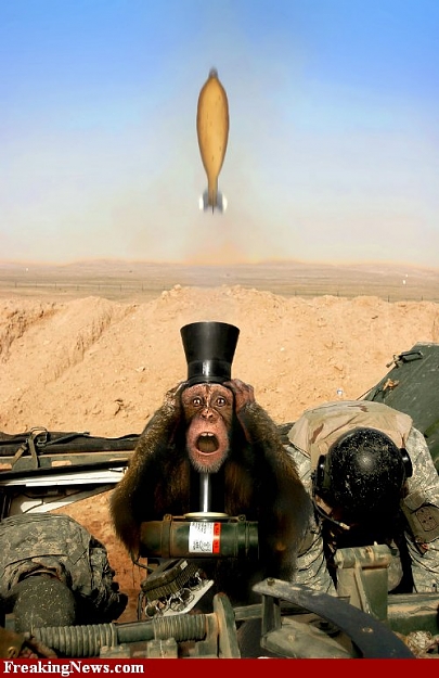Click to Enlarge

Name: Monkey-Weapon--29929.jpg
Size: 70 KB