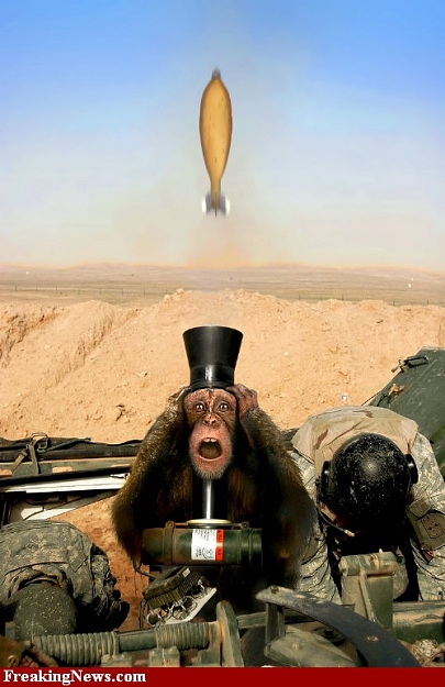 Click to Enlarge

Name: Monkey-Weapon--29929.jpg
Size: 70 KB