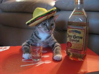 Click to Enlarge

Name: tacoParty.jpg
Size: 24 KB