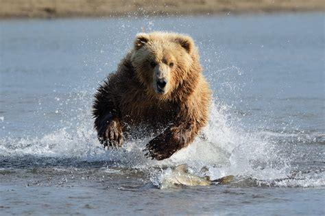 Click to Enlarge

Name: bear run water.jpg
Size: 29 KB