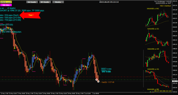 Click to Enlarge

Name: XAU Jun05 TMS-II sell trade TP1 5-6-2023 1-22-15 pm.png
Size: 28 KB