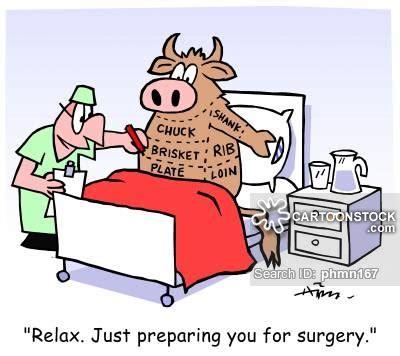 Click to Enlarge

Name: bullmeat.jpg
Size: 28 KB