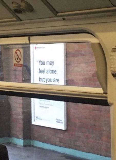 Click to Enlarge

Name: wisdom.jpg
Size: 69 KB