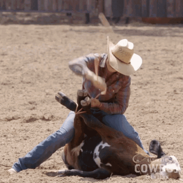 Click to Enlarge

Name: tying-cow-riding-horse.gif
Size: 4.5 MB