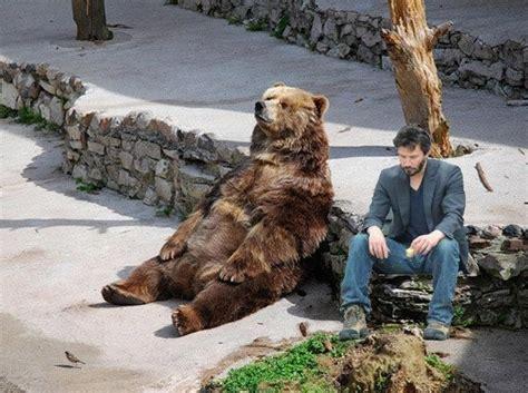 Click to Enlarge

Name: sadddd.jpg
Size: 43 KB