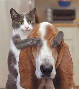 Click to Enlarge

Name: dontLook.jpg
Size: 60 KB