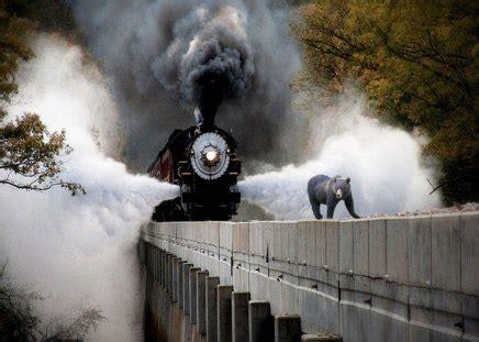 Click to Enlarge

Name: steamTrain.jpg
Size: 27 KB