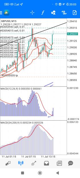 Click to Enlarge

Name: Screenshot_2023-07-11-20-03-30-864_net.metaquotes.metatrader4.jpg
Size: 859 KB