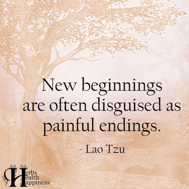 Click to Enlarge

Name: New-Beginnings.jpg
Size: 130 KB